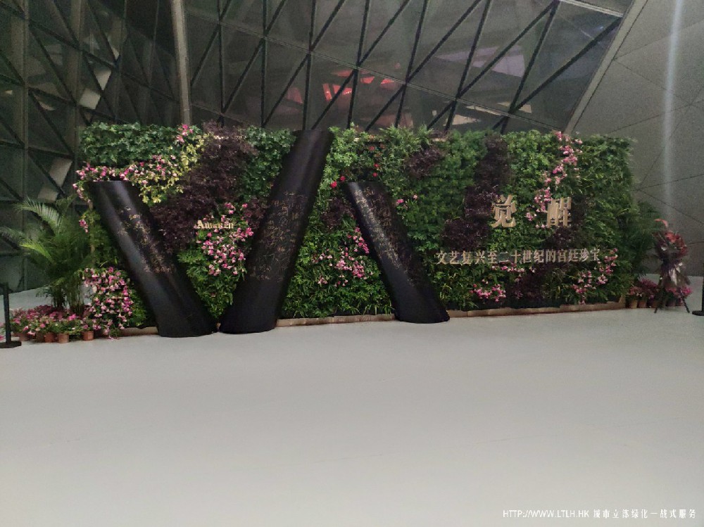 觉醒时代展签字植物背景墙