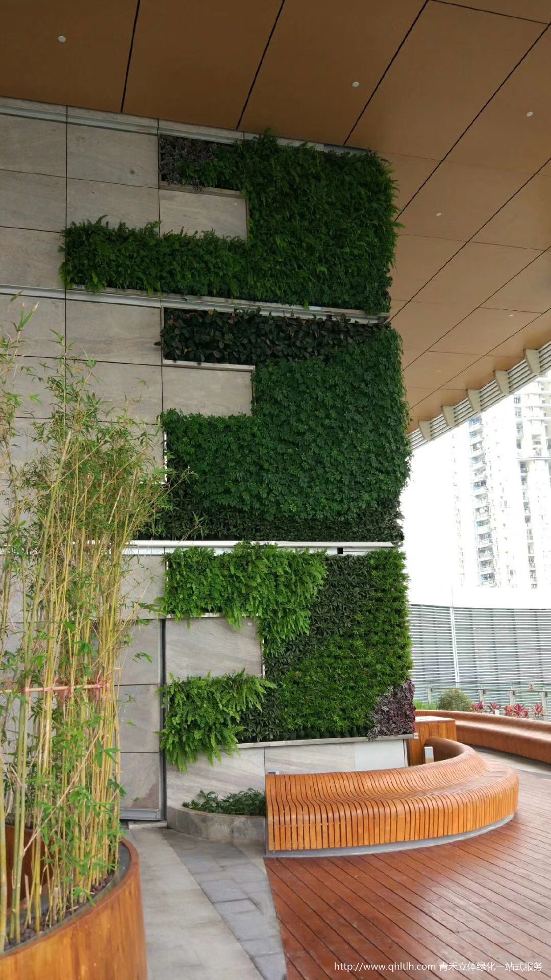 植物墙
