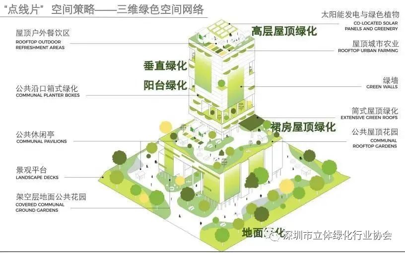 城市绿化可持续发展，立体绿化的具体应用
