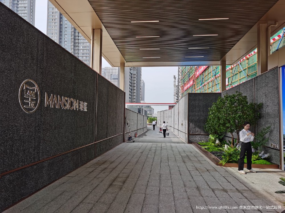 深圳前海深圳建工垂直绿文学仿真植物墙围档