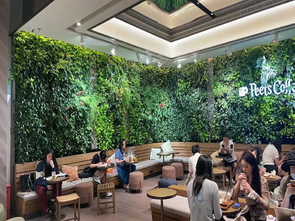 餐厅垂直绿化植物墙