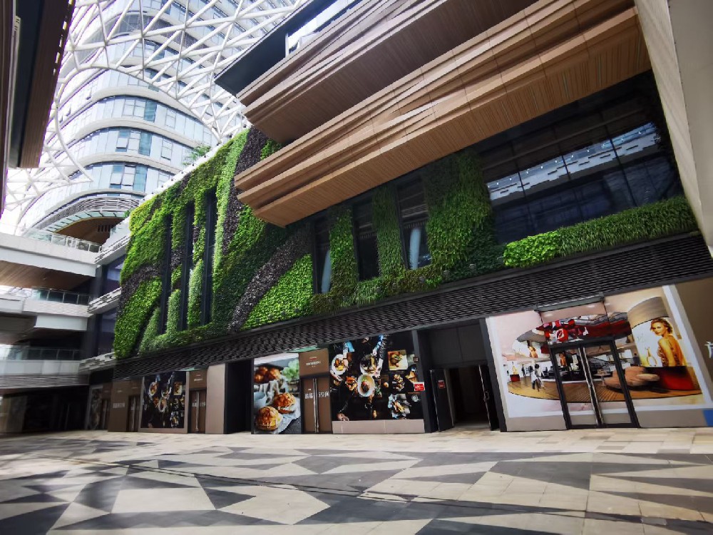信德口岸商务中心垂直绿化植物墙
