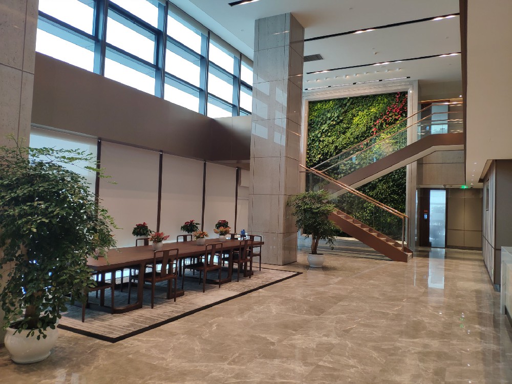 深圳自贸大厦大堂垂直绿化植物墙