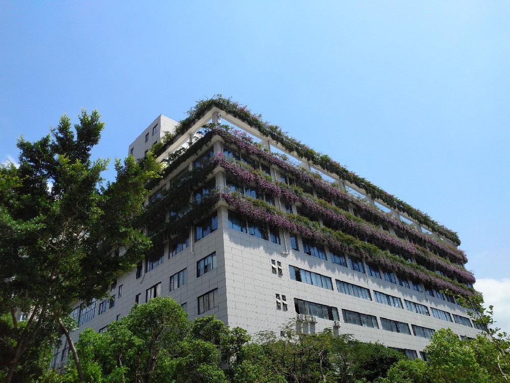 飞林建设总部大厦垂直绿化
