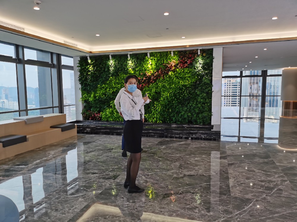 深圳广电大厦垂直绿化植物墙