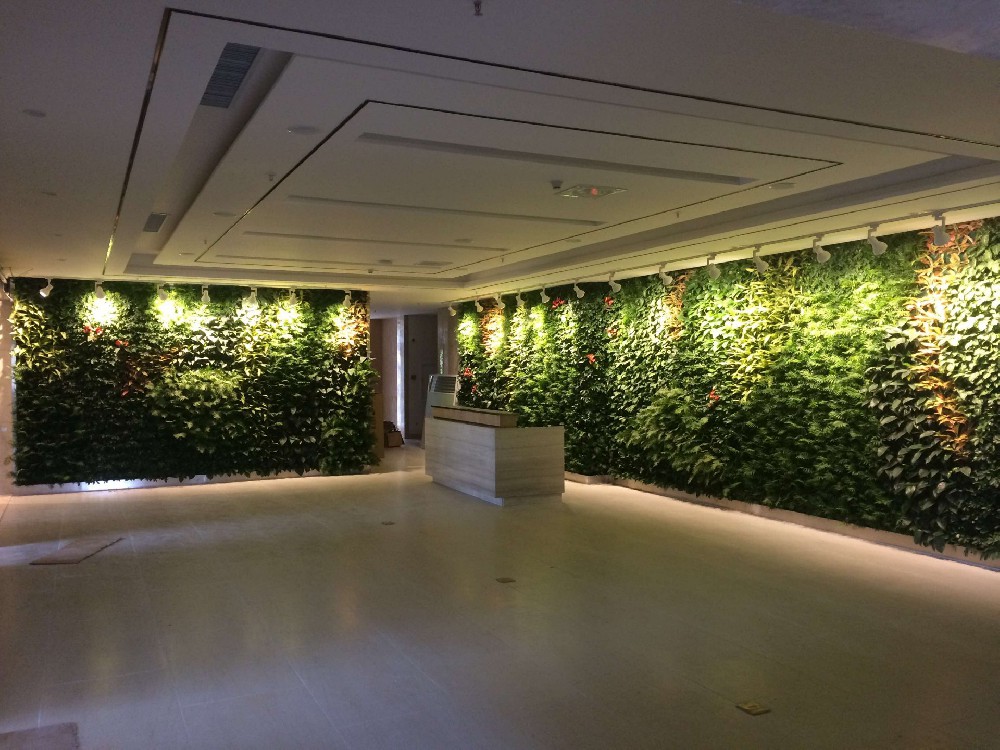 深圳城投集团办公室垂直绿化植物墙