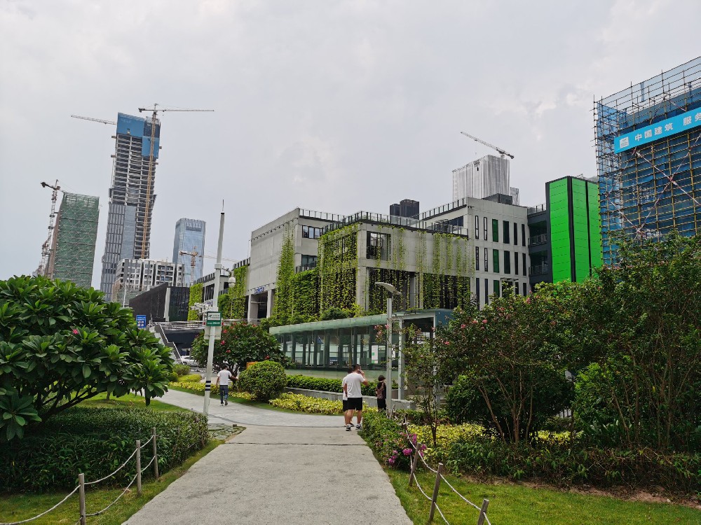 前海深港创意园爬藤牵引式垂直绿化植物墙
