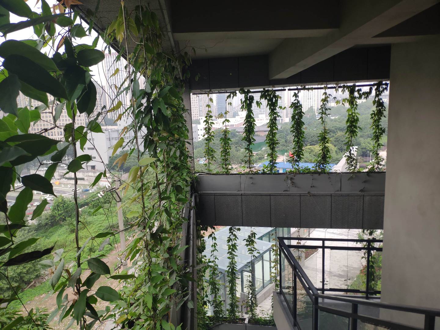 垂庆展馆垂直绿化牵引式植物墙