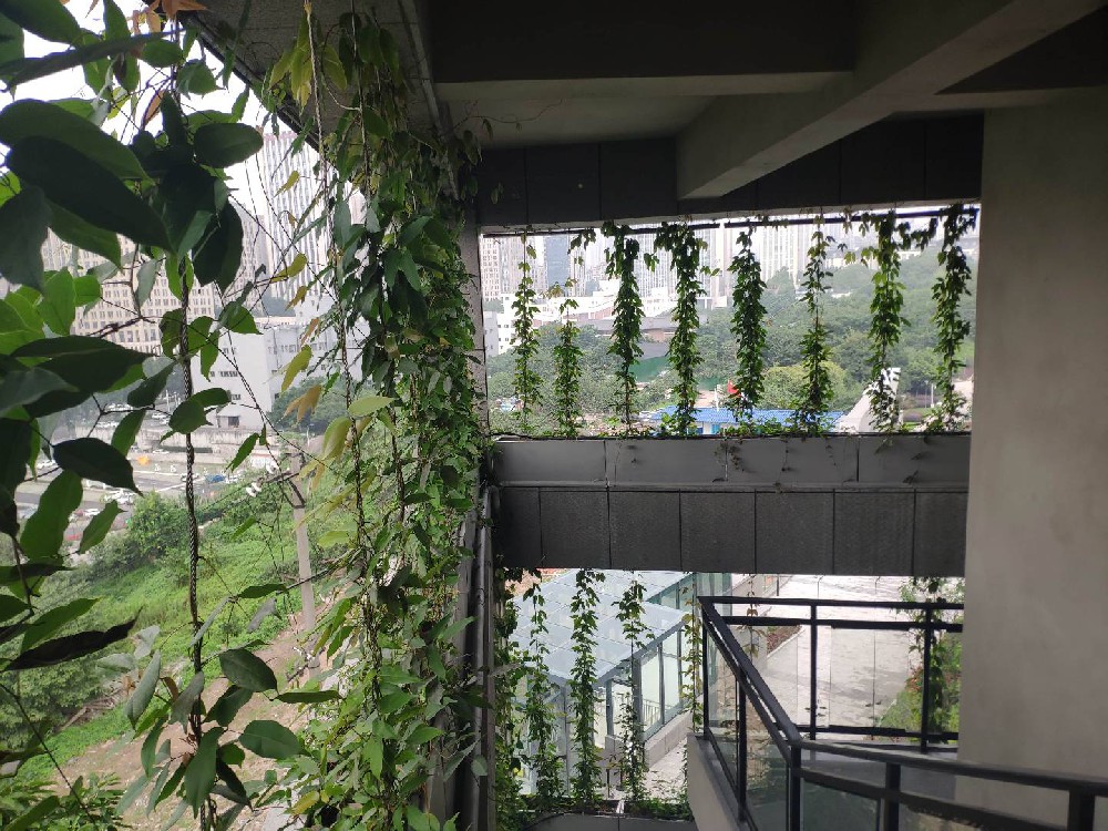 垂庆展馆垂直绿化牵引式植物墙