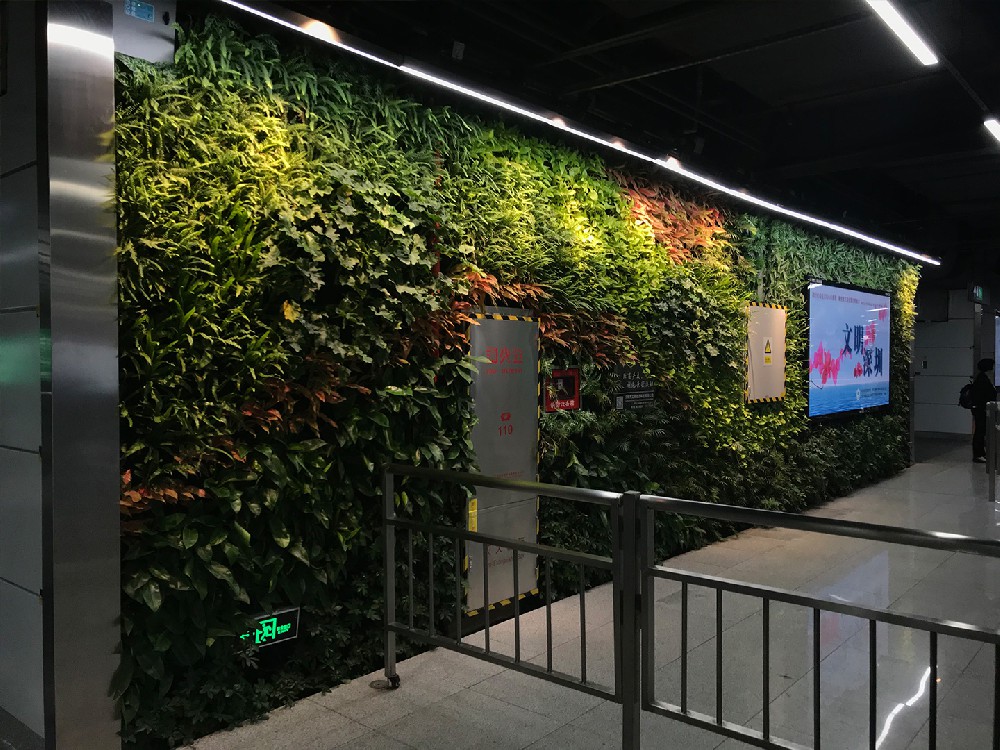 车公庙地铁站垂直绿化植物墙