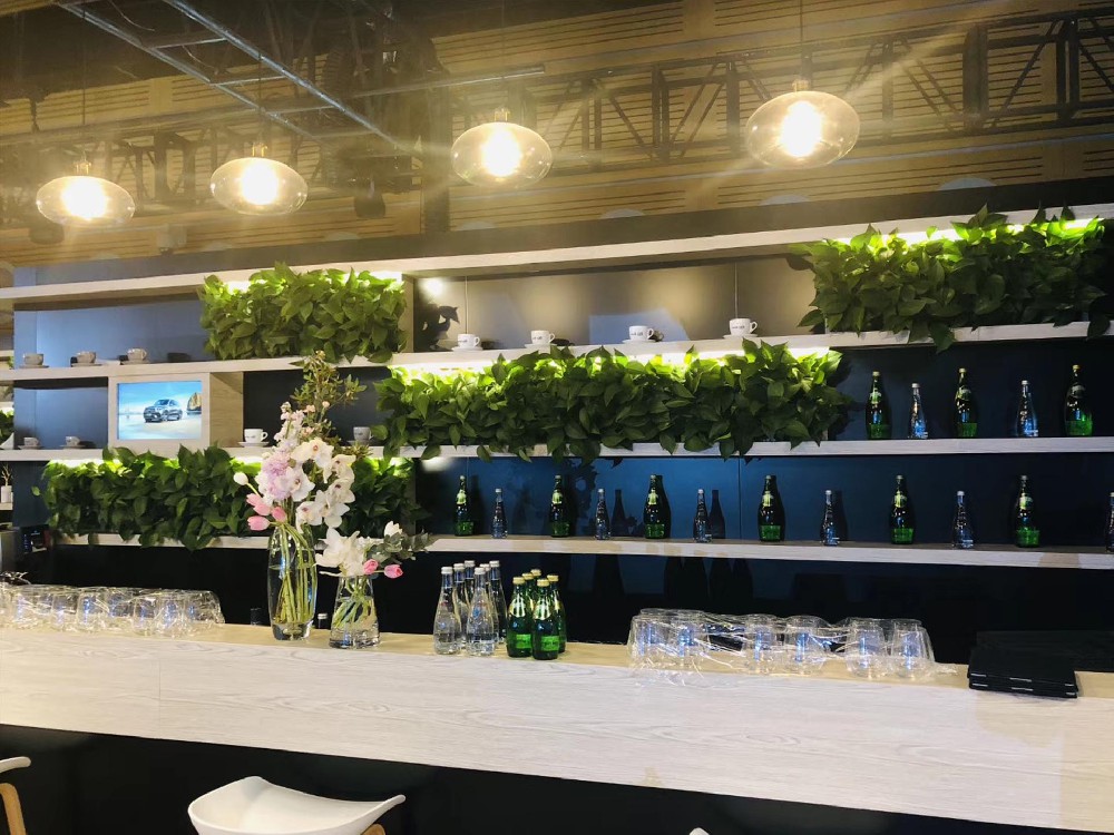深圳展会中心奔驰ＭＥ车展垂直绿化植物墙