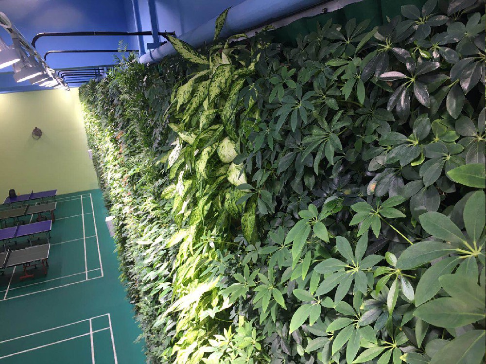 城投室内运动馆垂直绿化植物墙